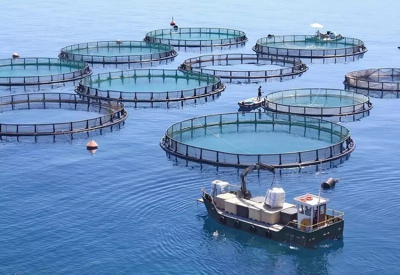 Картинка №1 для «Производство: Анализаторы жидкости АКВА МП внесены в реестр СИ»