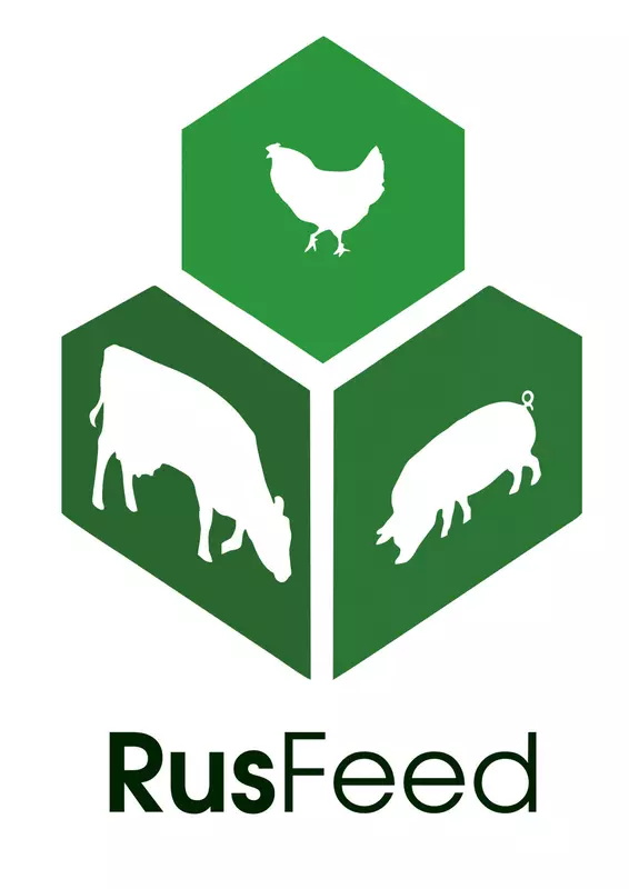 Картинка №2 для поста «разработка сайта: Провели ребрендинг логотипа и фирменного стиля для компании Русфид»