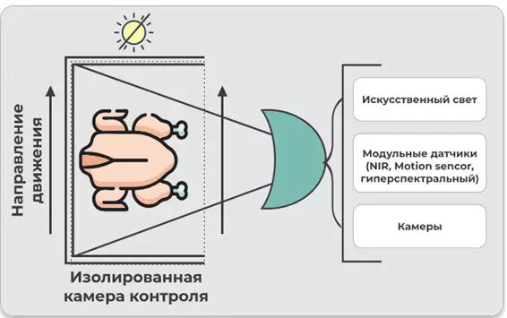 Картинка 2 для публикации «импортозамещение: Разработана интеллектуальная система контроля качества и сортировки тушек птиц»