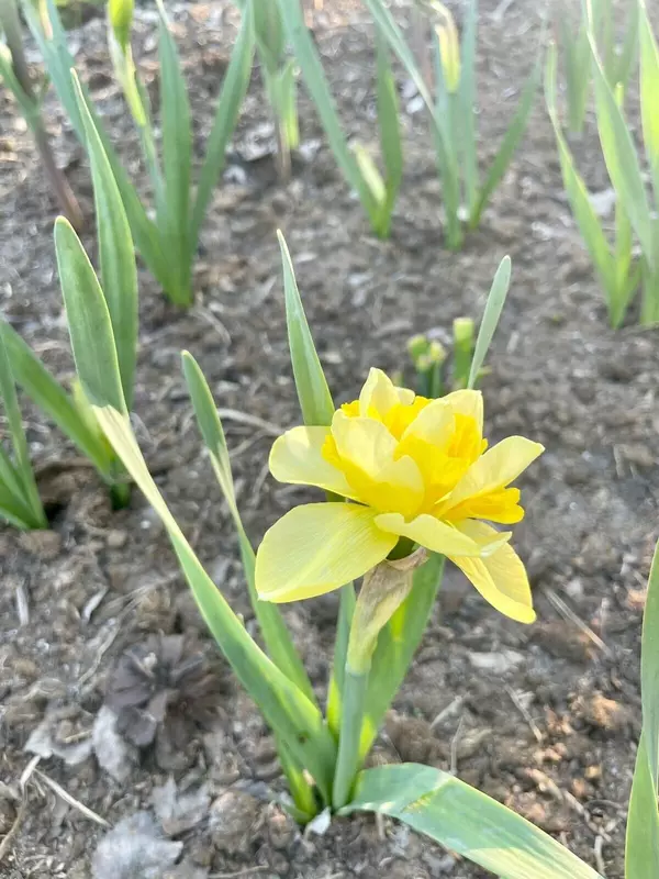 Картинка #19 для новости «Ямальский меридиан 14»