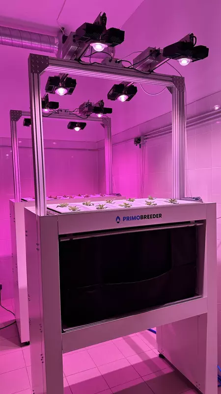 №5 для новости «семенной картофель: Запуск экспериментальной лаборатории для выращивания семенного картофеля»