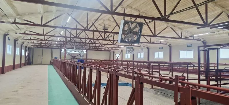 Изображение 1 для поста «: »