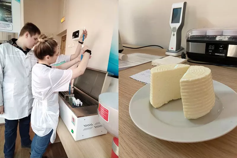 Донской ГАУ запустил образовательную программу по сыроделию