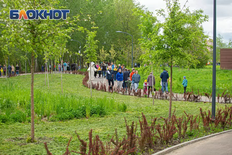 8 для публикации «В Ростове на Дону открыли парк Первая миля за 111 млн рублей»