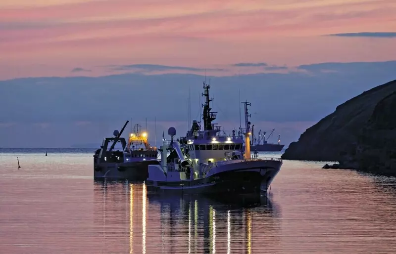 Российские рыбаки идут с превышением по объему вылова почти в 12 к прошлому году