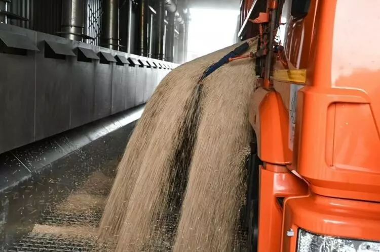 Картинка 3 для новости «производство: В Тюменской области открылся завод по глубокой переработке гороха»