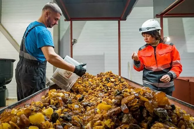 Изображение №2 для «Ростех: Калининградский янтарный комбинат добыл 600 тонн янтаря на Приморском карьере»