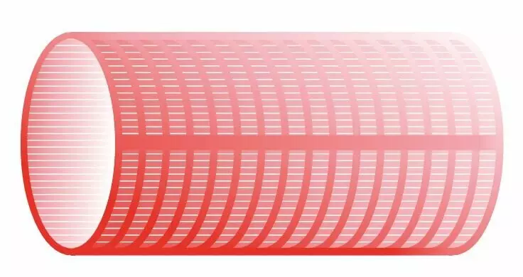 Изображение 2 для публикации «сельское хозяйство: Завершены два знаковых грантовых проекта для импортозамещения в сельском хозяйстве»