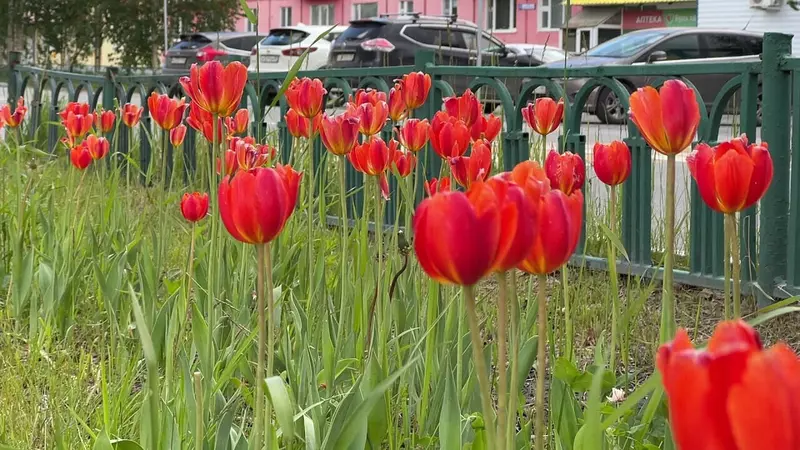 Изображение №17 для «Ямальский меридиан 14»