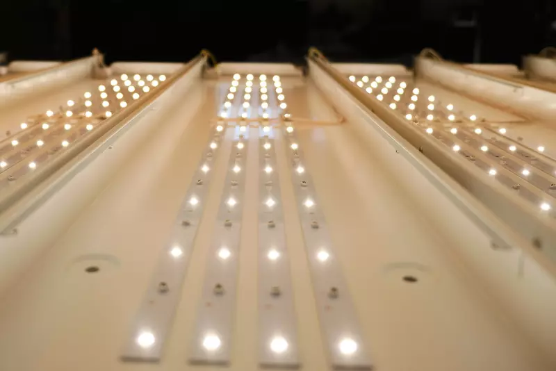 Заключен контракт между заводами Ледел и Ферекс и крупнейшим российским производителем светодиодов