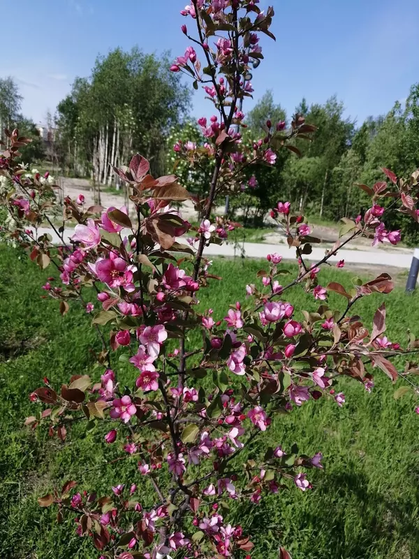 Фото 21 для публикации «Ямальский меридиан 14»