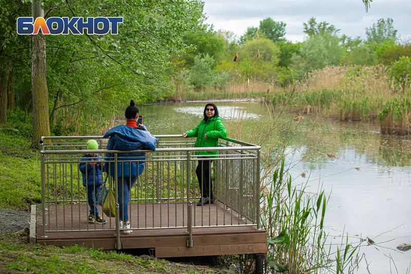 Картинка #6 для новости «В Ростове на Дону открыли парк Первая миля за 111 млн рублей»