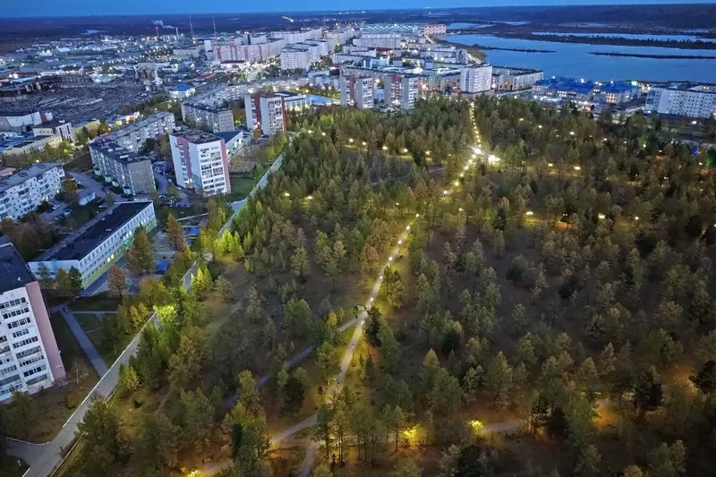 Иллюстрация 52 для «Ямальский меридиан 23»