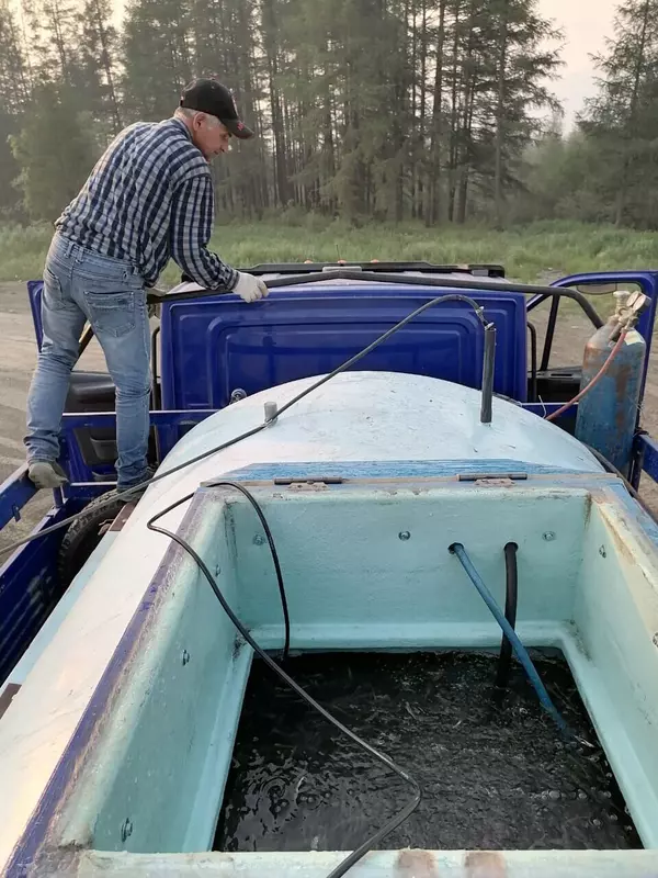 Фото 3 для «Экология: Предприятия Магаданской области пополнили рыбные запасы в целях компенсации ущерба в 2023 году»