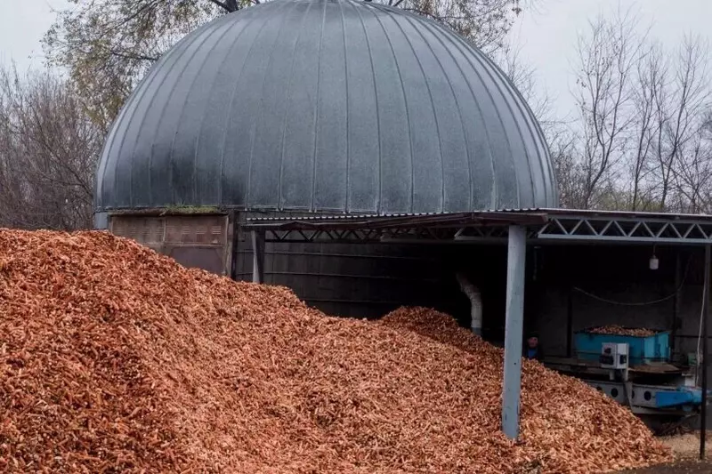 На Ставрополье начали производить топливные пеллеты из кукурузных кочерыжек