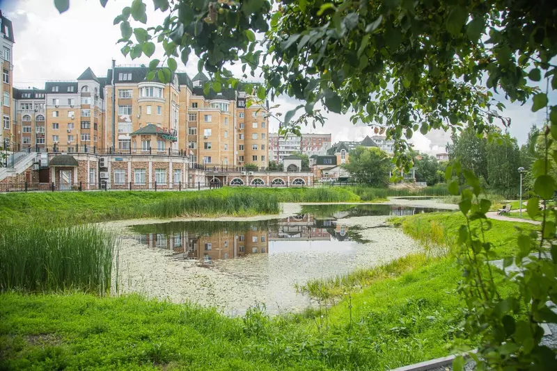 Школьный пруд