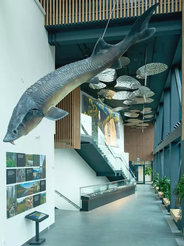 Картинка 8 для публикации «сельская жизнь: Открыт новый центр в мемориальном комплексе В»