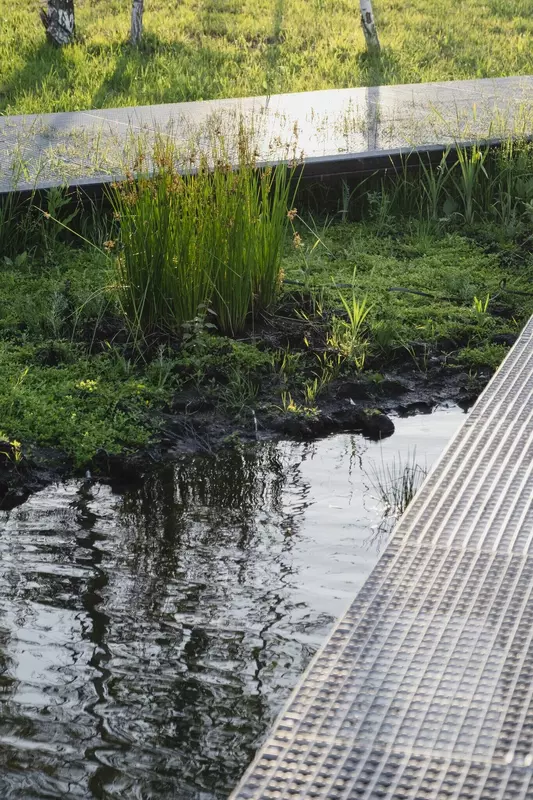 Иллюстрация #59 для статьи «Новости благоустройства территорий»