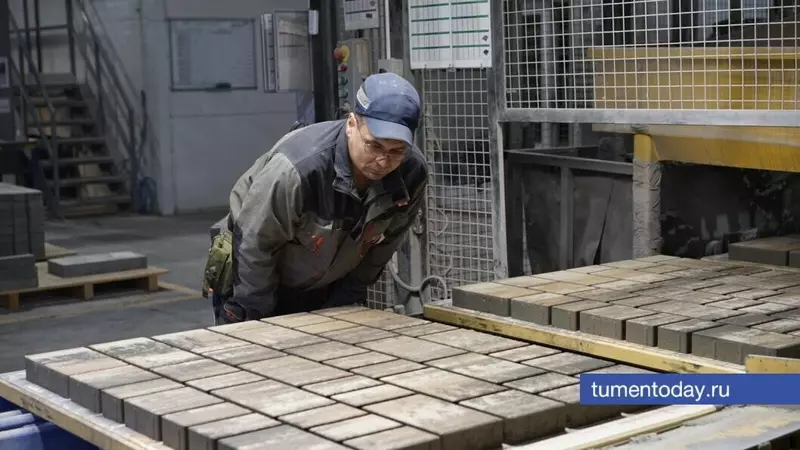 Изображение 24 для новости «Обзор В 2025 году было открыто 72 новых производства с инвестициями более 1 миллиарда рублей»