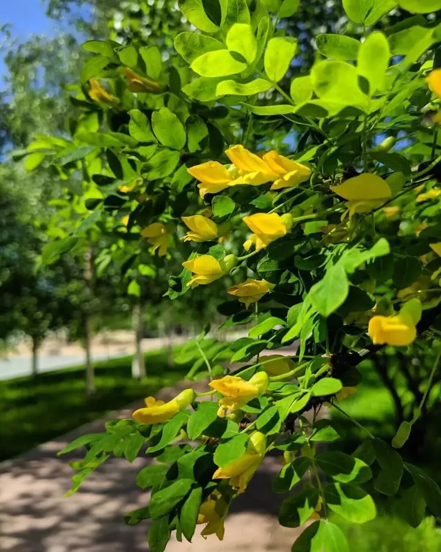 Картинка 43 для публикации «Как меняется Ямал Ноябрьск часть 3»