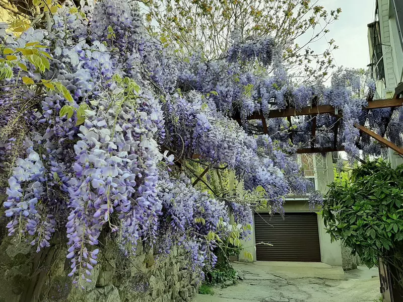 Фото #51 для новости «Крым своими глазами»