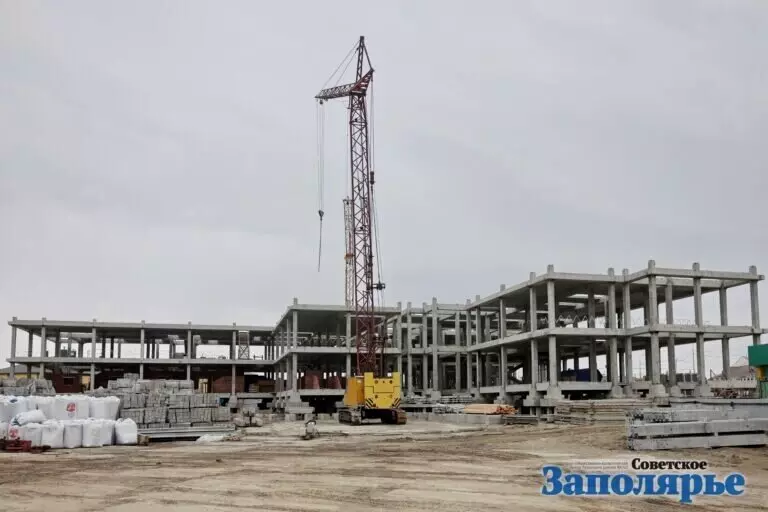 Иллюстрация №31 для «Ямальский меридиан 31»