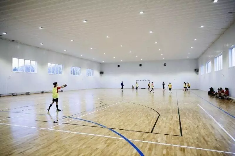 Иллюстрация №2 для «Самарская область: В поселке Смышляевка под Самарой заработал новый ФОК»