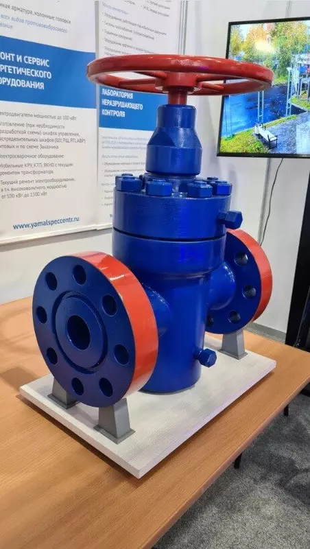 Изображение 13 для поста «Тюменское импортозамещение часть 7»