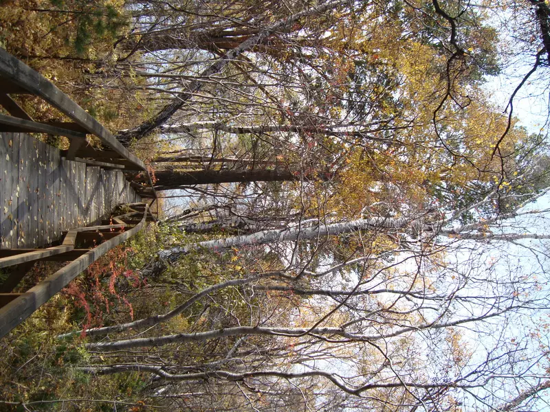 13 для статьи «День Байкала»