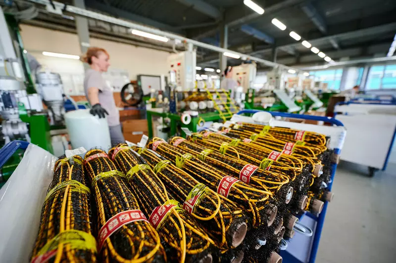 На 2022 год импортозамещение в компании Теплолюкс достигло более 50