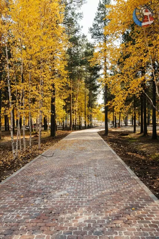 Иллюстрация 35 для поста «Четыре новых парка благоустроено в Ноябрьске»