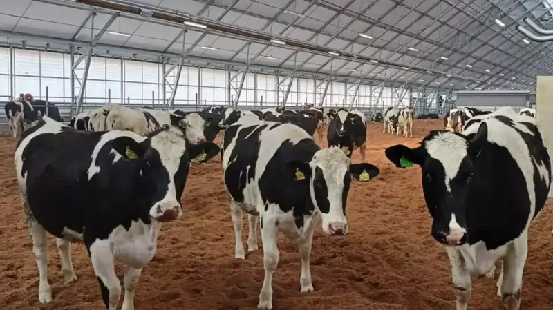 #2 для новости «Башкирия: Экоферма Буляк открылась в Абзелиловском районе Башкирии»