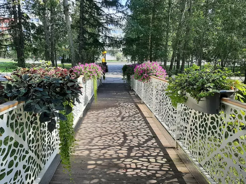 Центральная аллея (фото автора)