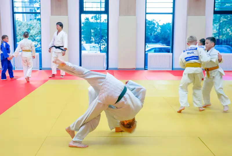 Иллюстрация #3 для поста «спортивный комплекс: В Санкт Петербурге открыт спортивный комплекс Школы олимпийского резерва имени Анатолия Рахлина»