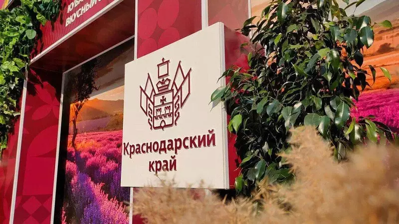 Краснодарский край заложил заводы по переработке зерновых