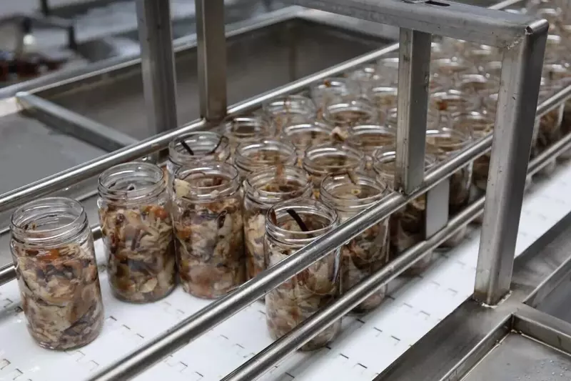 Фото №9 для поста «»