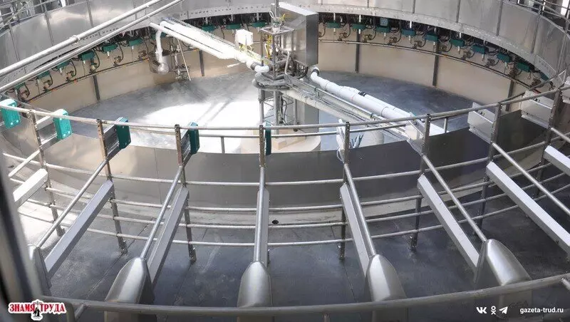 Фото 2 для публикации «производство молока: СПК Большевик открыл в Белгородской области новую молочно товарную ферму на 1200 голов»