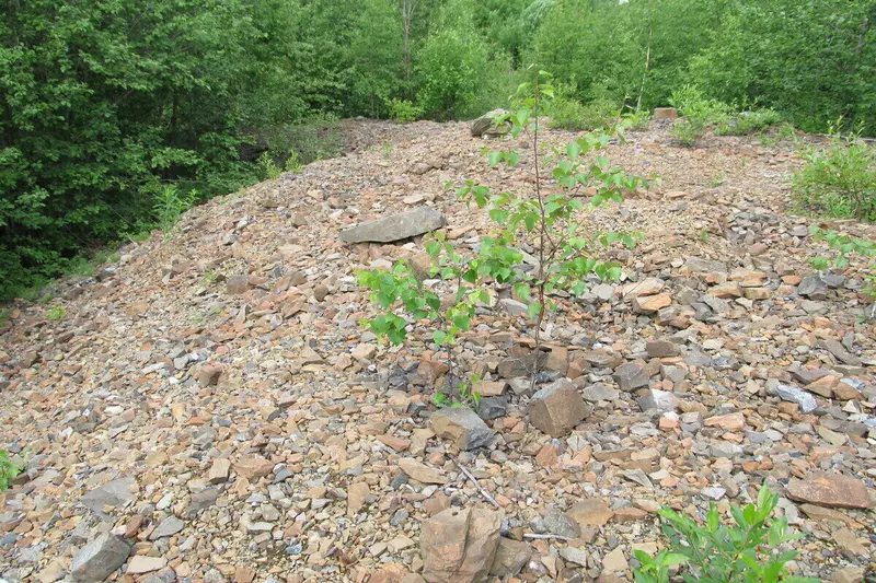 Иллюстрация №2 для поста «селеноджуноит: Новый минерал открыли в Карелии»