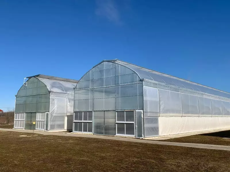 Картинка #1 для поста «Новые и модернизированные предприятия агропрома: В Дмитровском округе Подмосковья открылся тепличный комплекс по выращиванию клубней картофеля»