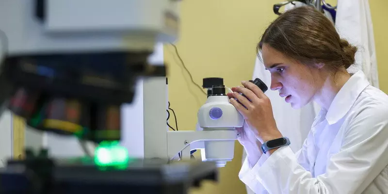 Изображение №1 для публикации «Перспективные разработки: Созданы высокоточные зеркала для синхротронов нового поколения»