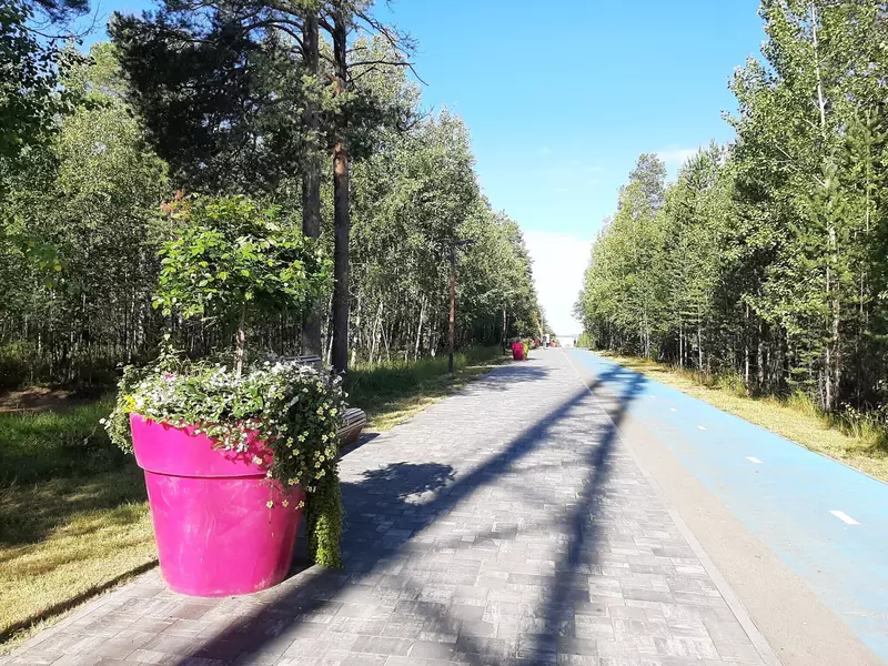 Ноябрьск-парк (фото автора)