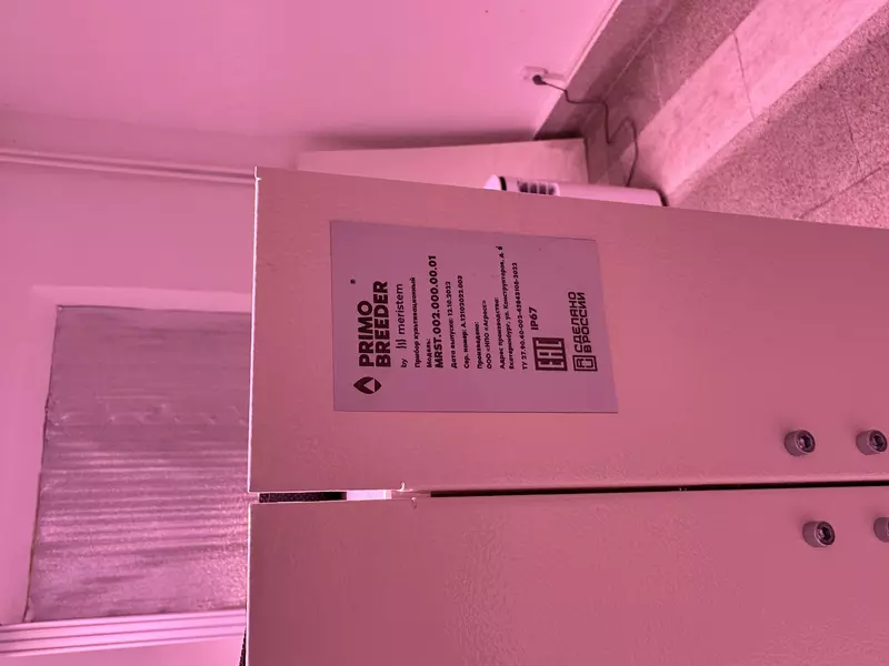 Фото 7 для новости «селекция картофеля: Платформа Меристема запущена в Челябинске»