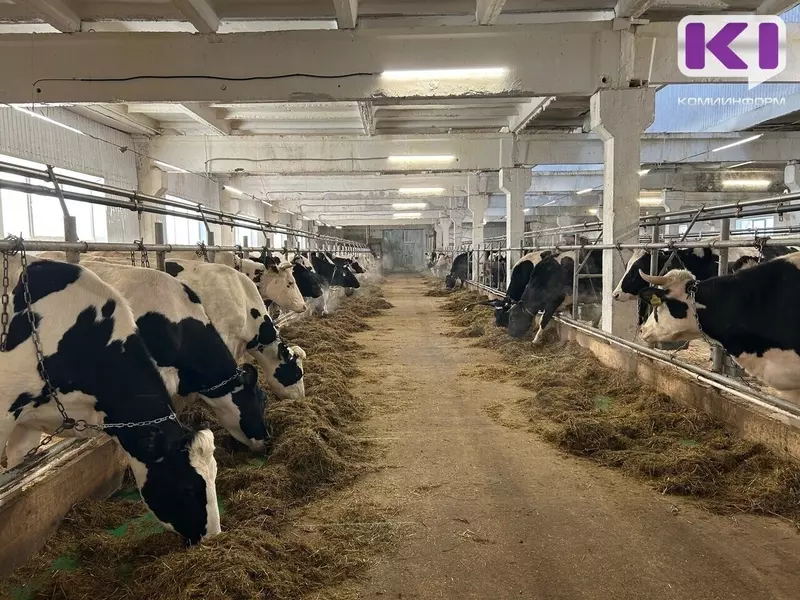 Картинка 2 для поста «: »