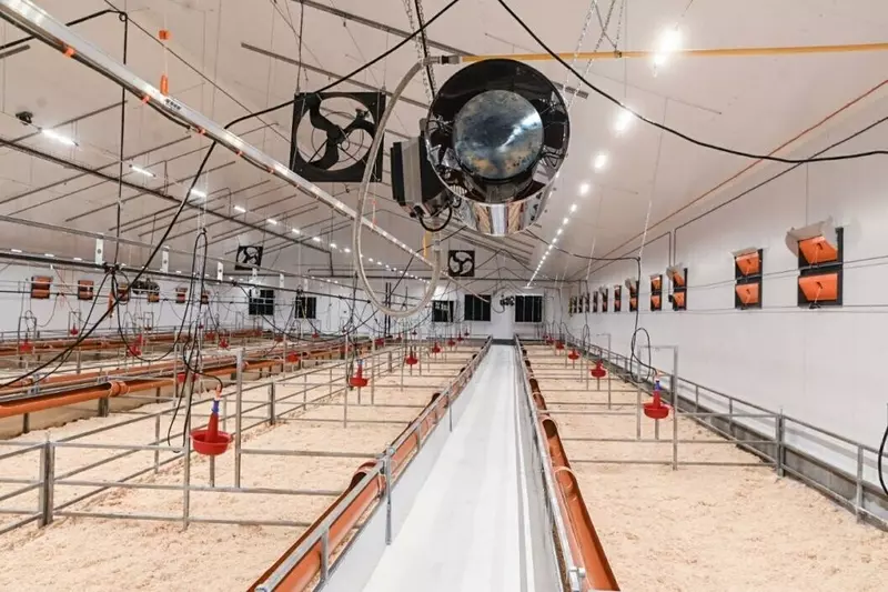 Изображение #3 для поста «сельское хозяйство: В Тюменской области запустили блок родительского стада племенного репродуктора индейки»