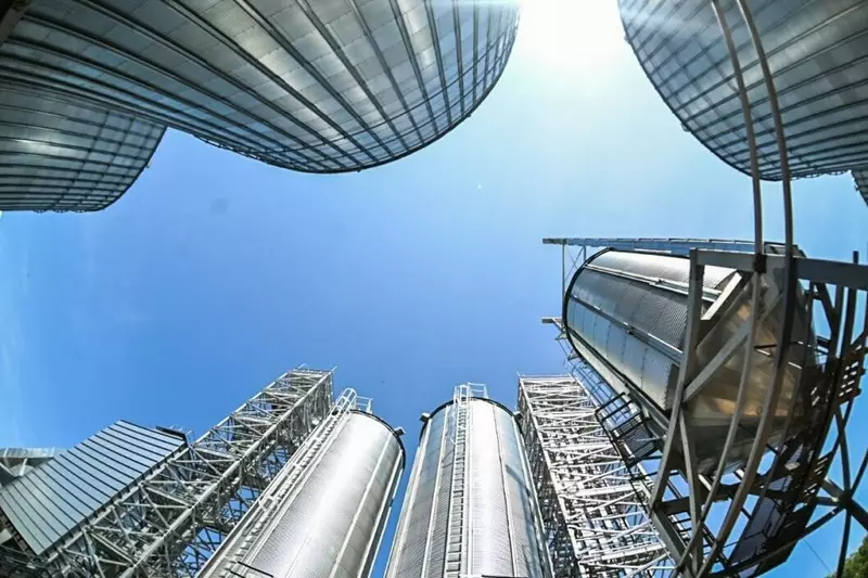 Картинка 19 для публикации «Тюменское импортозамещение часть 10»