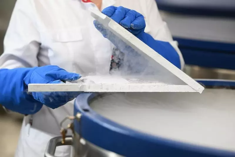 Ученые РУДН разработали технологию вечного хранения искусственных органов