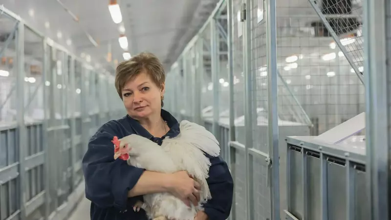 4 для поста «сельское хозяйство: Крупный птицеводческий комплекс запущен в подмосковном Сергиевом Посаде»