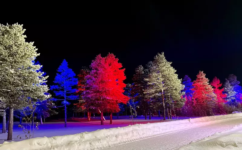 Фото №37 для новости «Ямальский меридиан 26»