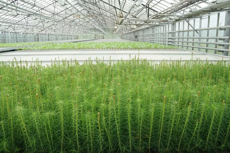 Картинка №42 для поста «Иркутская область развитие экономики часть 8»