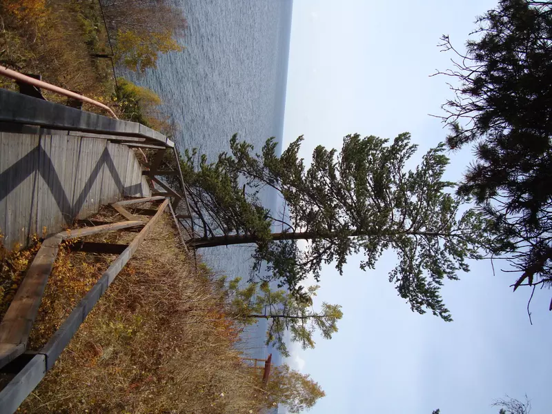 Фото №11 для поста «День Байкала»